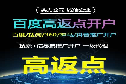 百度竞价排名服务在金融行业的推广策略