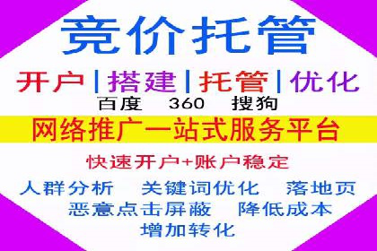 案例解读：SEM代理助力电商销量翻倍